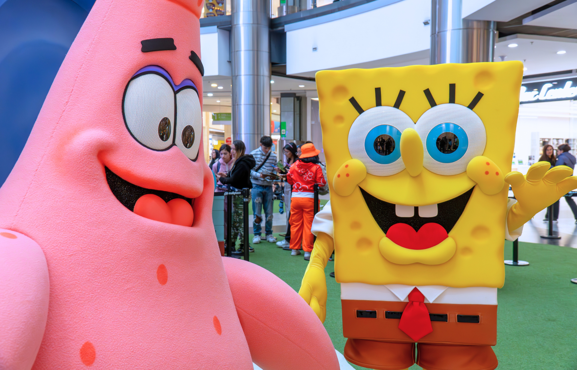 Bob Esponja