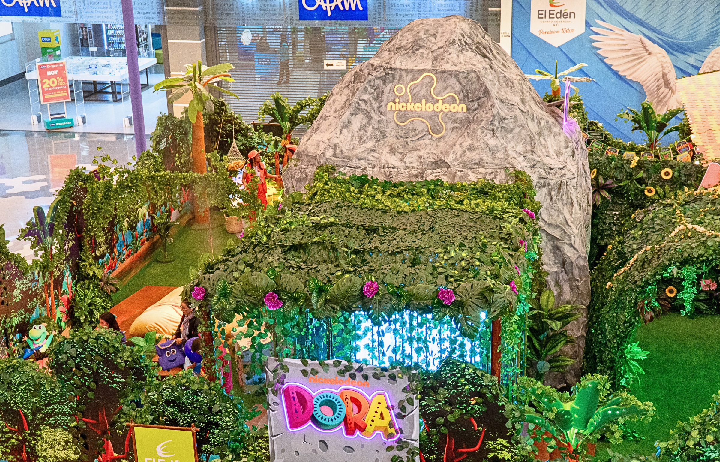 dora 6